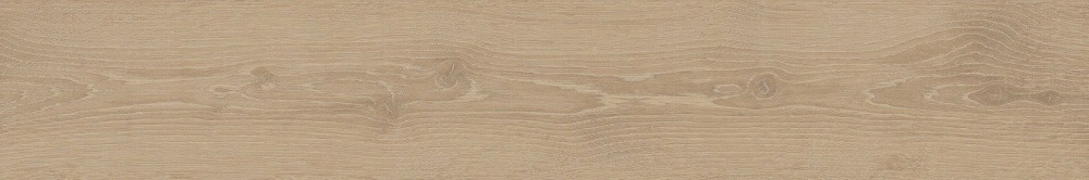 ROBLE 19.5х120